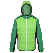 Giacca da uomo Regatta Trutton II verde Jasmine Green/Field Green