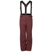 Pantaloni invernali per bambini Dare 2b Outmove III Insulated Pant Huckleberry rosso scuro Huckleberry