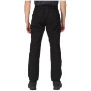 Pantaloni da uomo Regatta Dayhike Trs IV
