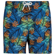 Costume da bagno da uomo Regatta Loras Swim Short