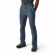 Pantaloni da uomo Regatta Mountain Z/O Trs