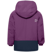 Giacca invernale per bambini Didriksons Talvi Kids Jkt 2 Northen Purple
