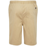 Pantaloncini da uomo Regatta Aldan Short