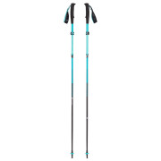 Bastoncini da trekking da donna Black Diamond W Distance Carbon FLZ Poles grigio Dark Patina