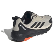 Scarpe da uomo Adidas Terrex Anylander R.Rdy