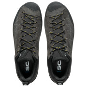 Scarpe da uomo Scarpa Zodiac Gtx