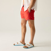Costume da bagno da uomo Regatta Mawson Swim Shorts III