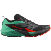 Scarpe da corsa da uomo Salomon Sense Ride 5