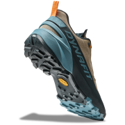 Scarpe da uomo Dynafit Transalper 2 Gtx