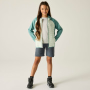 Giacca da bambino Regatta Junior Andreson Hybrid IvyMossOMist