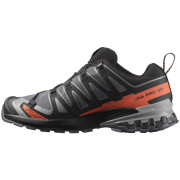 Scarpe da trekking da uomo Salomon Xa Pro 3D V9 Gore-Tex
