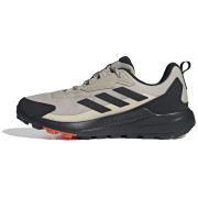 Scarpe da uomo Adidas Terrex Anylander R.Rdy