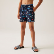 Costume da bagno per bambini Regatta Kids' Skander III Swim Shorts