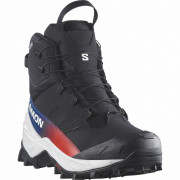Scarpe da uomo Salomon Crosstrak Powder Waterproof Equipe nero Black / Black / Black
