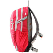 Zaino Axon Rose