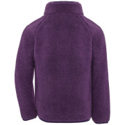 Felpa da bambino Didriksons Gibbs Kids Fullzip 2 Northen Purple