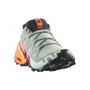 Scarpe da corsa da donna Salomon Speedcross 6 Gtx Icon W