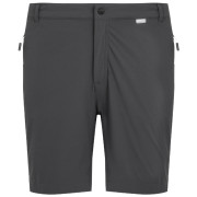 Pantaloncini da uomo Regatta Mountain ShortsII M