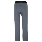 Pantaloni da uomo Salewa M Terminal Pant