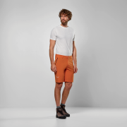 Pantaloncini da uomo Salewa Puez Talveno Dst Shorts M