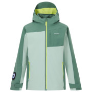 Giacca da bambino Regatta Boys Trekktain 3-in-1 II DrkForGlac verde DrkForGlac