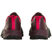 Scarpe da corsa da donna The North Face W Offtrail TR Gore-Tex