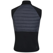 Gilet da uomo Dare 2b Descending Gilet