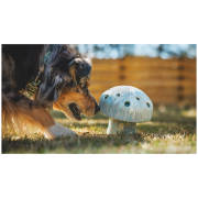 Giocattolo per cane Ruffwear Porchini™