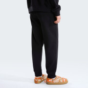 Pantaloni da tuta da uomo The North Face M Evolution Simple Dome Regular Jogger