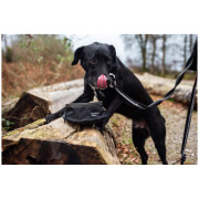 Ciotola per cani Mountain Paws Collapsible Dog Food Bowl