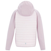 Giacca da bambino Regatta Junior Andreson Hybrid PowLilPinHze