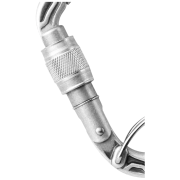 Moschettone Edelrid HMS Bulletproof Screw FG Eco