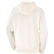 Felpa da uomo Salomon Logo Hoodie M
