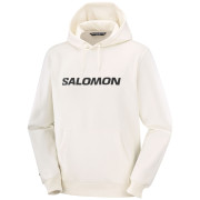 Felpa da uomo Salomon Logo Hoodie M