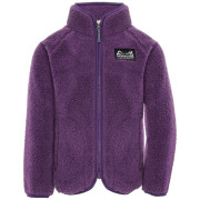 Felpa da bambino Didriksons Gibbs Kids Fullzip 2 Northen Purple viola Northen Purple