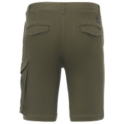 Pantaloncini da uomo Regatta Bendrick Shorts