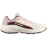 Scarpe da corsa da donna Salomon Alphaglide