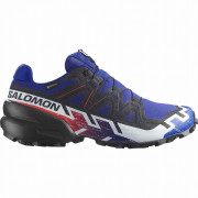 Scarpe da uomo Salomon Speedcross 6 Gore-Tex Equipe