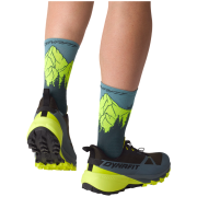 Scarpe da corsa da uomo Dynafit Traverse 2 Gtx