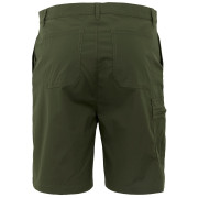 Pantaloncini da uomo Regatta Dalry Short