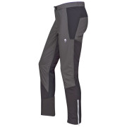 Pantaloni da uomo High Point Alpha Pants grigio/nero Black