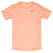 Maglietta da bambino Devold Active "Devold Legacy" Tee Jr rosa chiaro SUNRISE