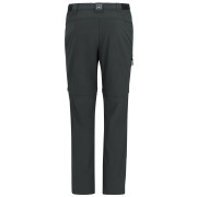 Pantaloni da uomo Regatta Anti-Insect Travel Light Z/O Trousers grigio Ash