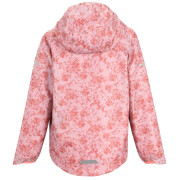 Giacca da bambino Regatta Printed Lever II PinHzGrdDis