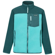 Felpa sportiva per bambini Regatta Junior Frankie Warm Fleece Mediterranea/Turquoise verde chiaro/verde scuro Mediterranea/Turquoise