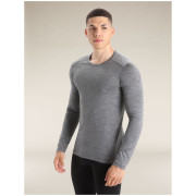 Maglietta da uomo Icebreaker Mens 200 Oasis LS Crewe