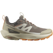 Scarpe da trekking da donna Salomon Elixir Activ Gore-Tex marrone Falcon