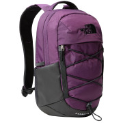 Zaino The North Face Borealis Mini Backpack viola/nero Blackcurrantprpl/Tnfblack