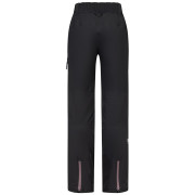 Pantaloni da sci da donna Dare 2b Bluebird Insulated Pant