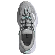 Scarpe da donna Adidas Terrex Freehiker Sl Gtx
